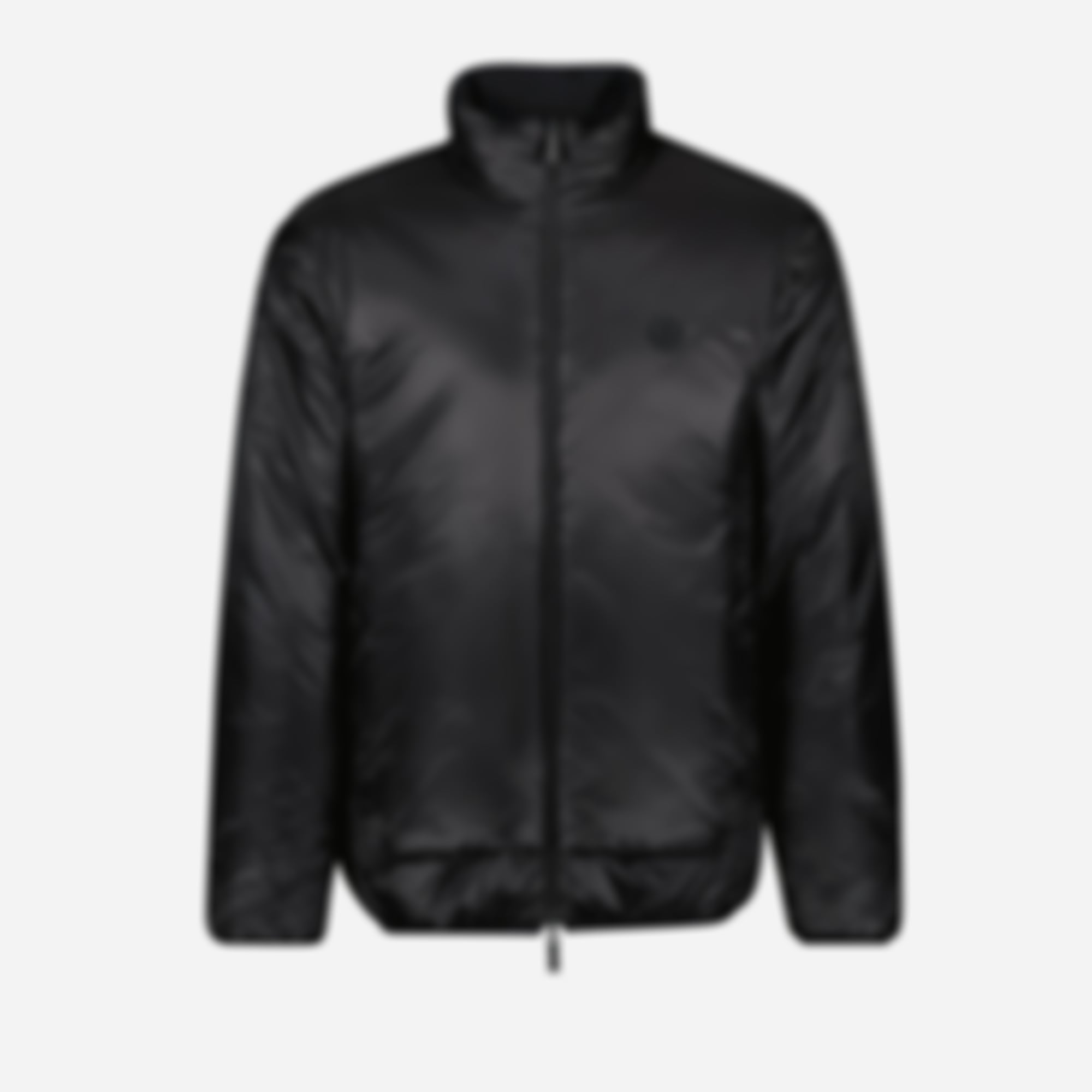 Reversible Larcher Down Jacket
