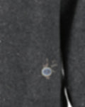 Cashmere polo shirt