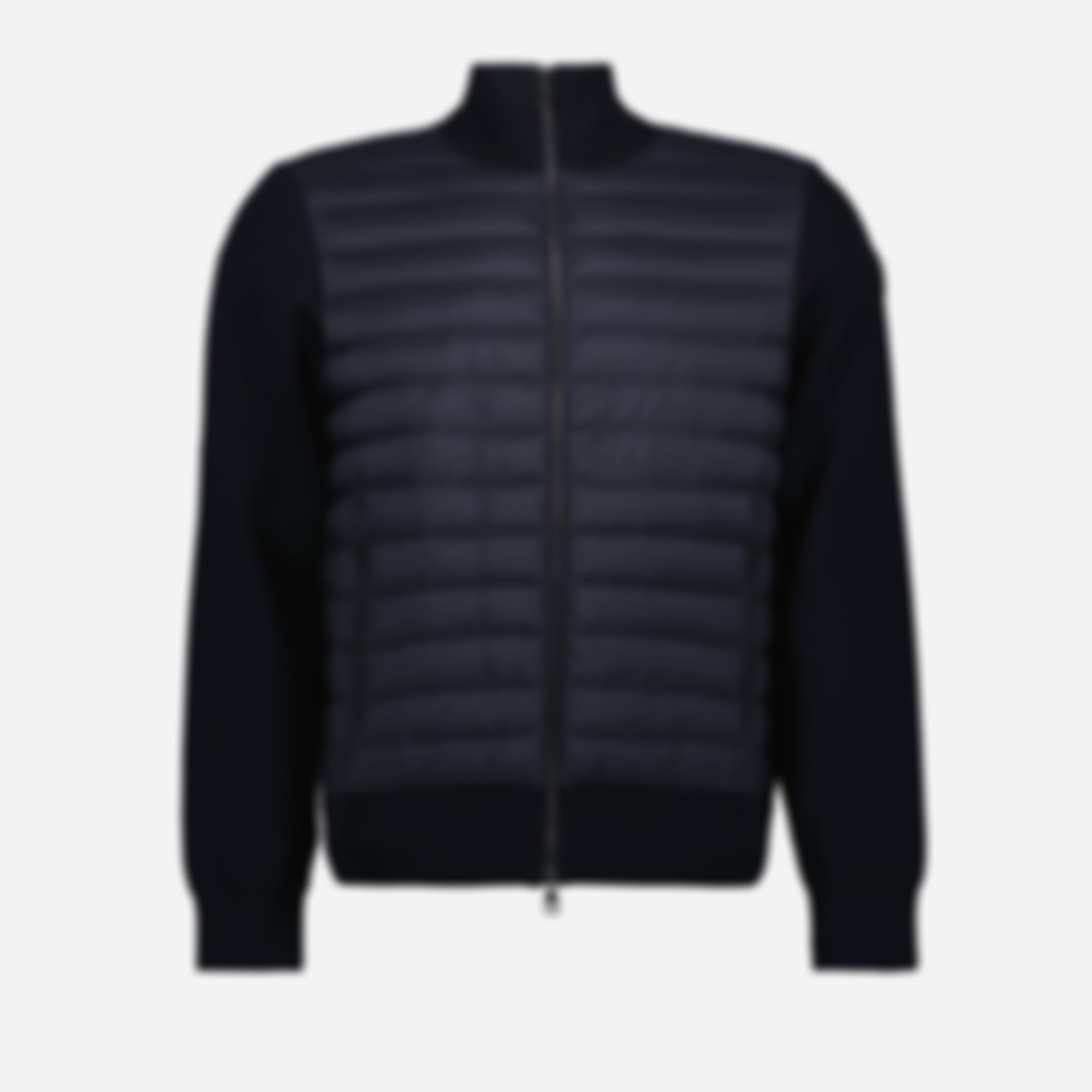 Two-Tone Down Jacket