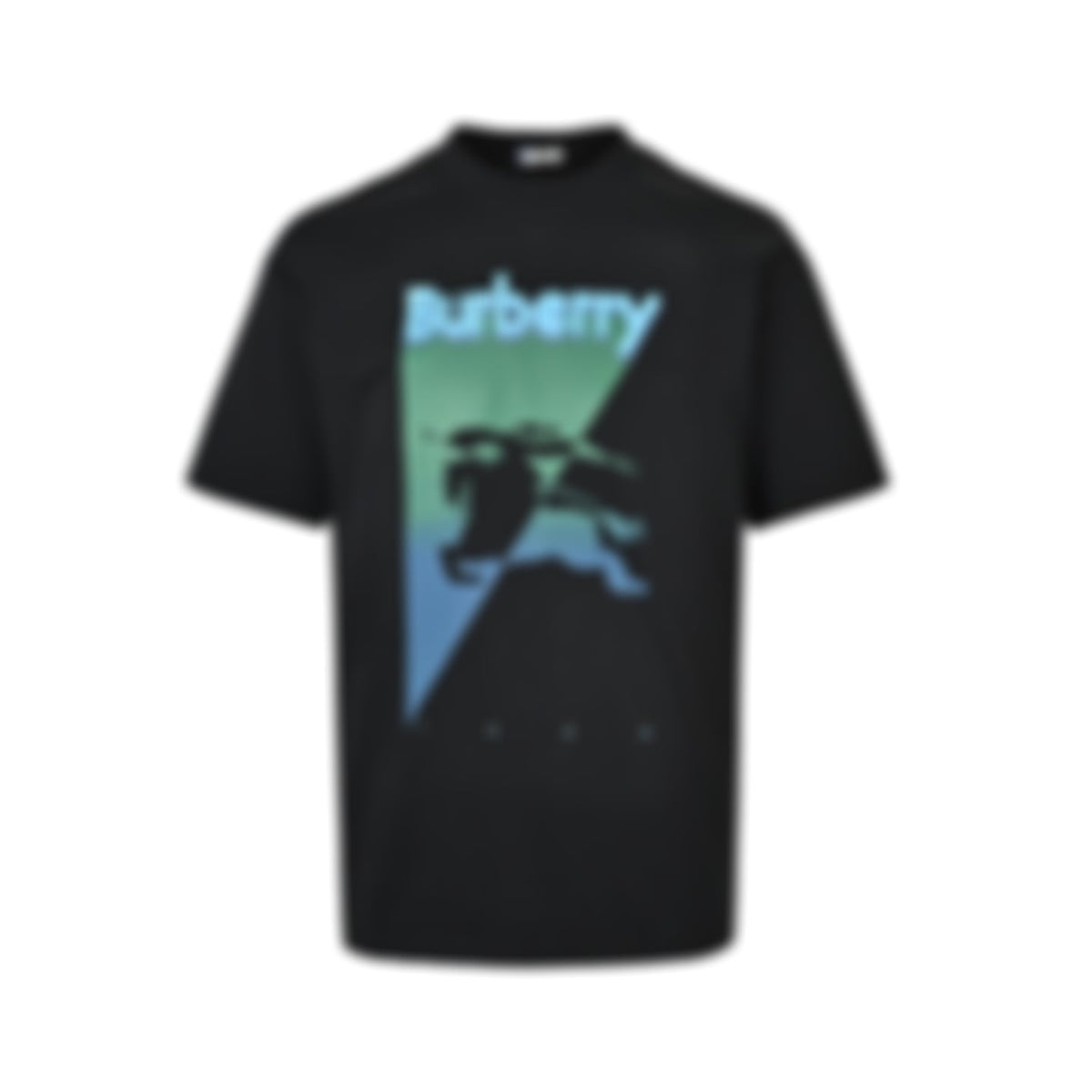 Equestrian Knight Graphic T-Shirt | Black