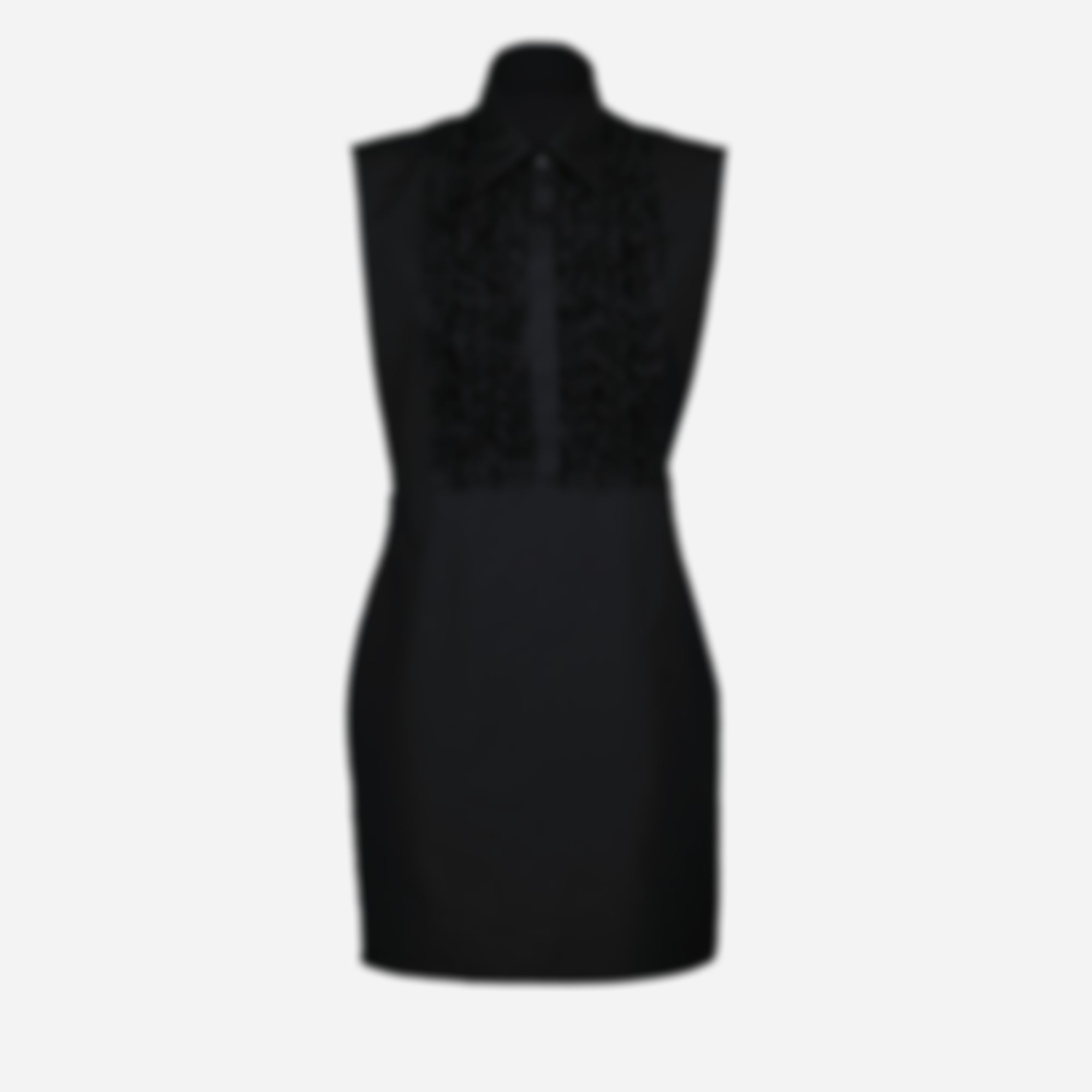 Poplin Dress