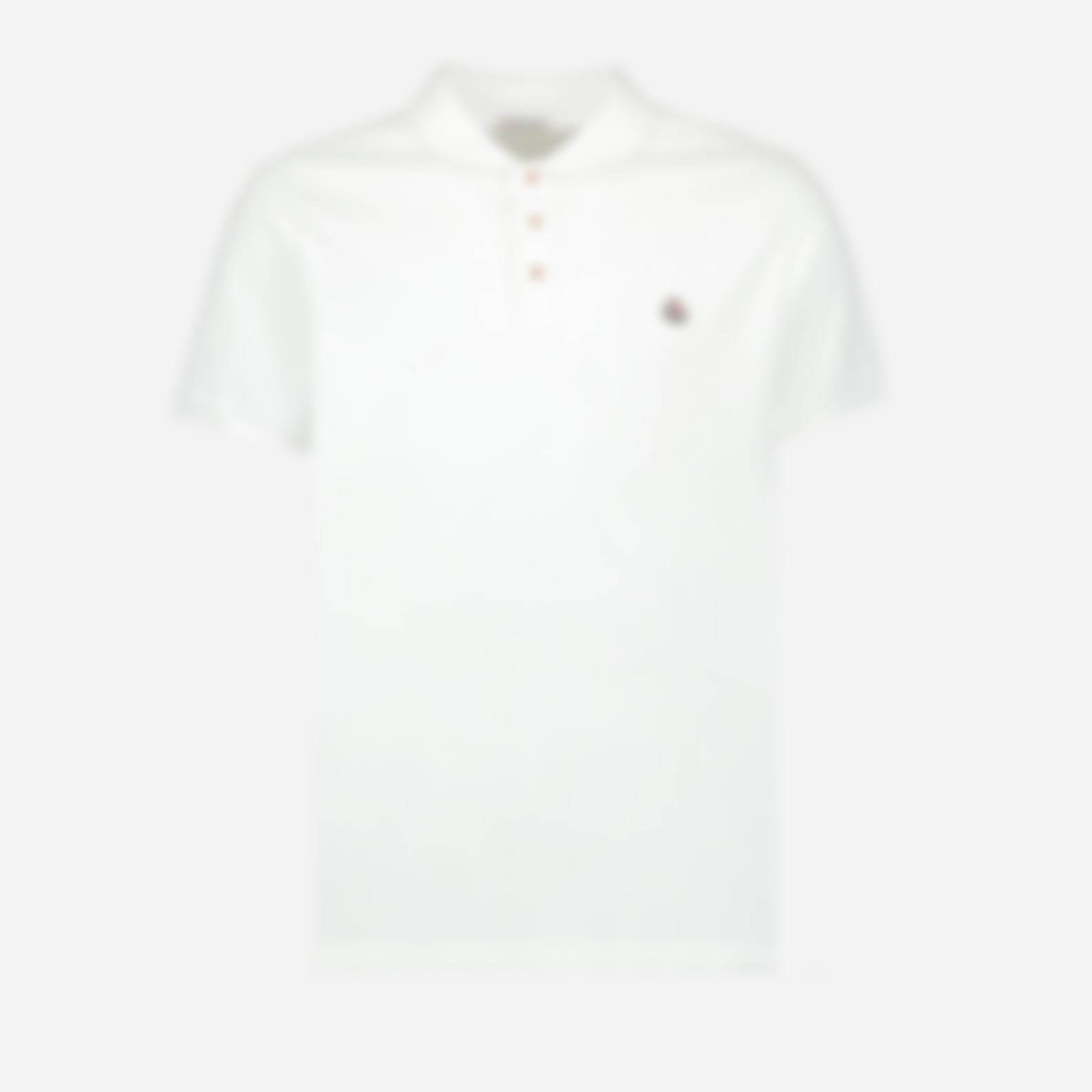 Logo Polo