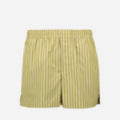 Striped Shorts