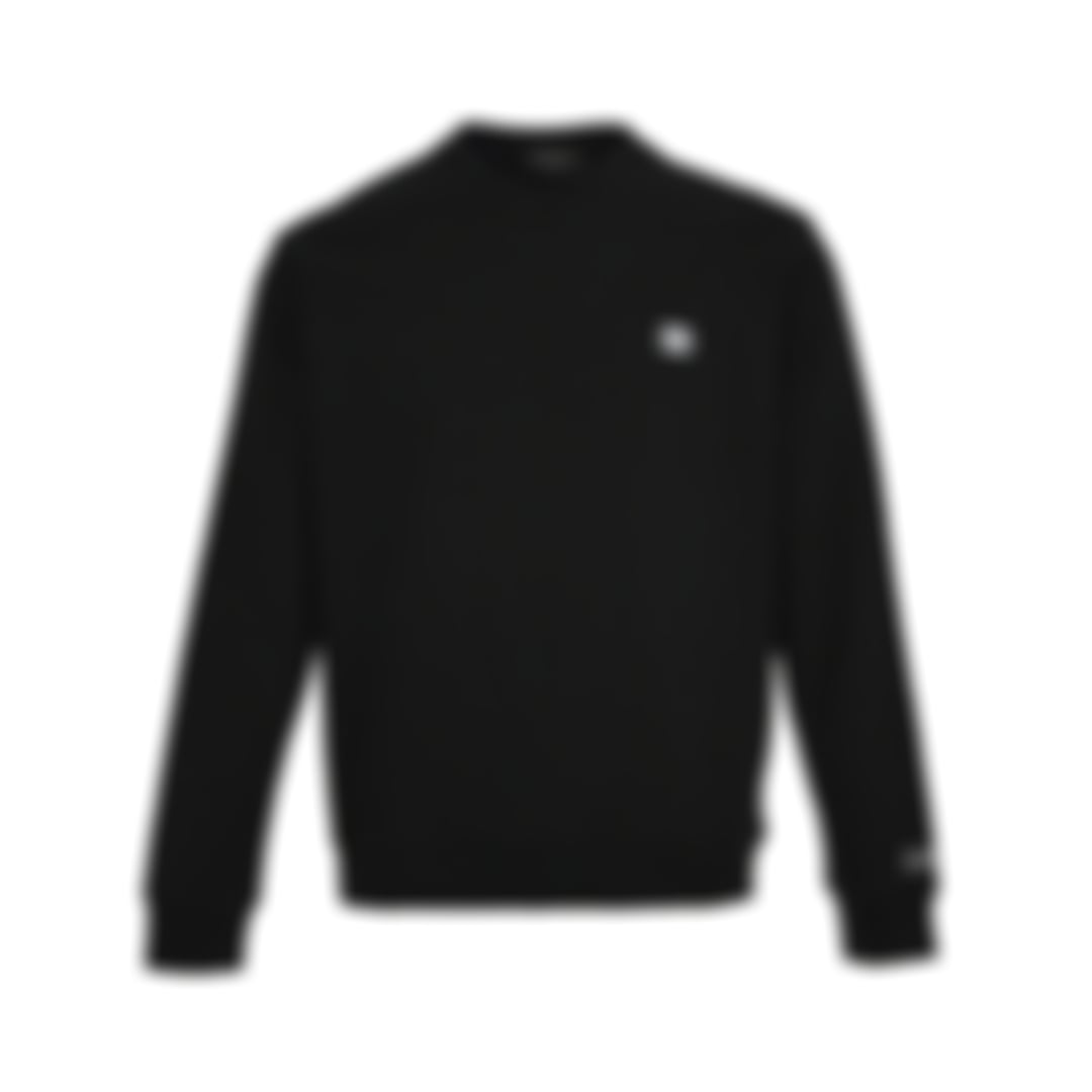 Embroidered CC Logo Crewneck Sweatshirt