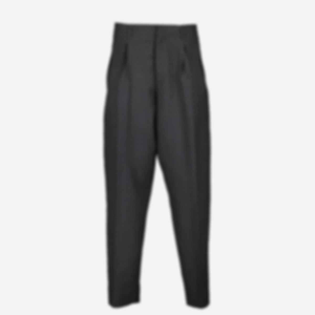 Pleated Pants
