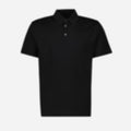 Embroidered Polo