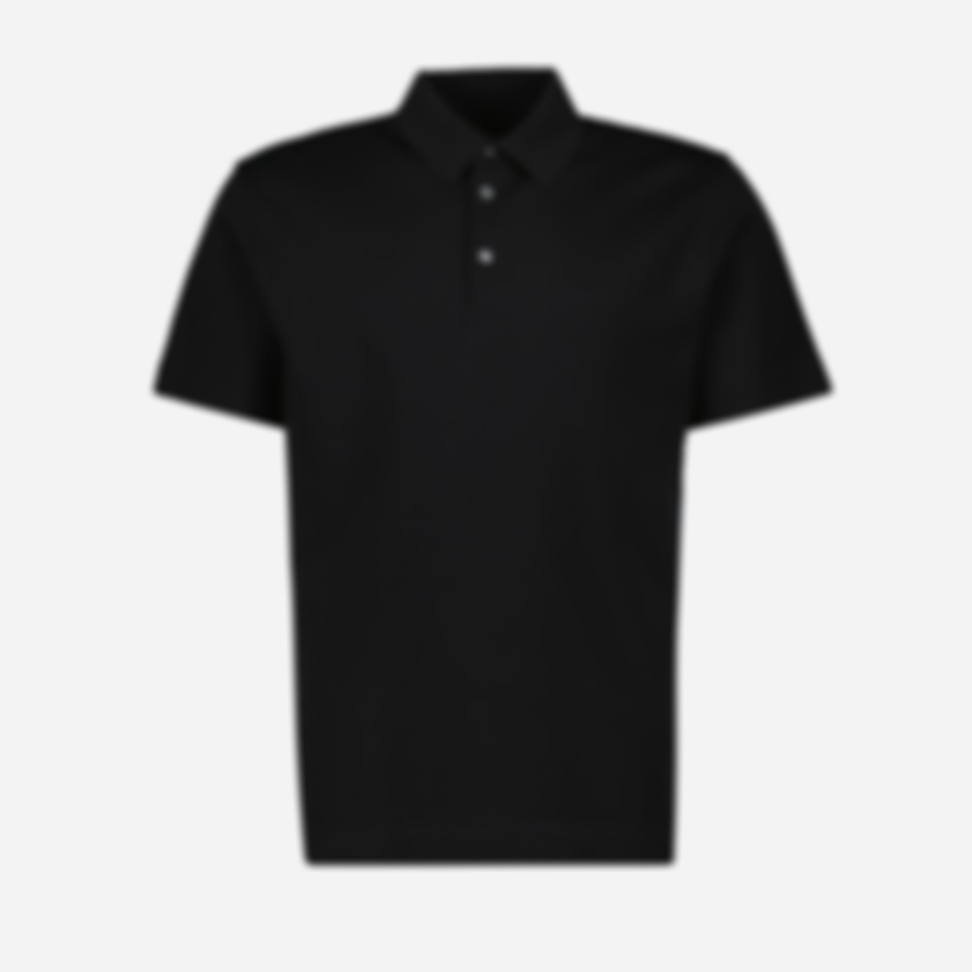 Embroidered Polo