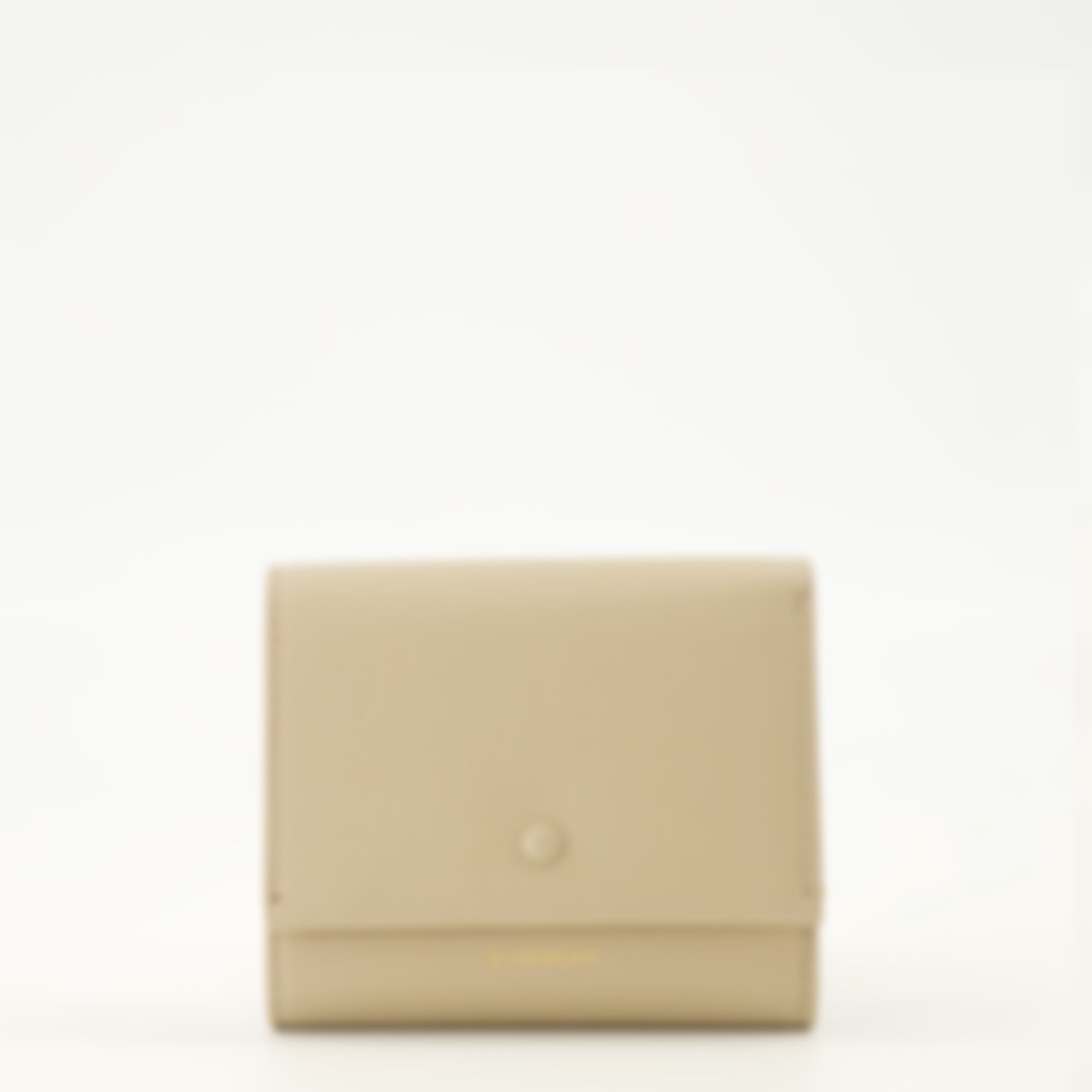 Day Wallet