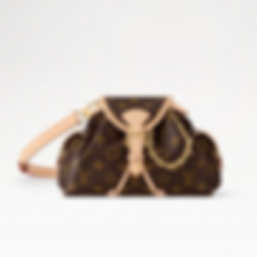 Monogram Canvas Odyssée Bag