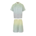 Damier Gradient Ensemble
